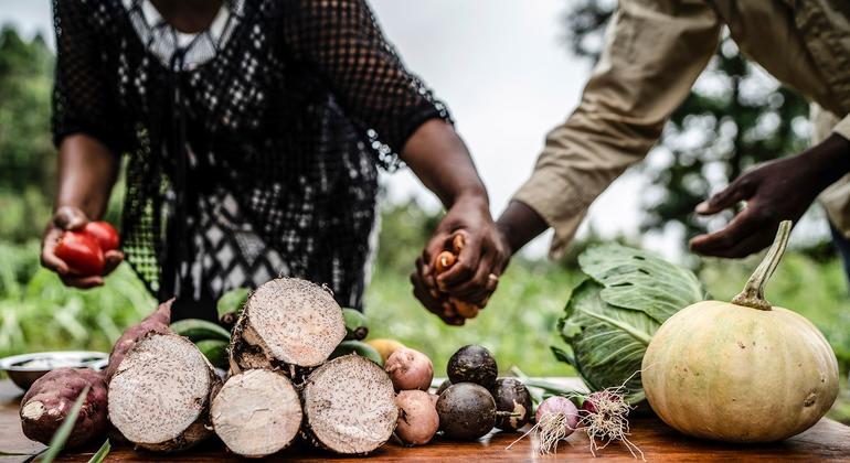Global food crisis: Let’s move from ‘despair to hope and action’, urges ... Biology Diagrams